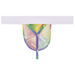 WOH G-String Sexy Fun Woh Rainbow